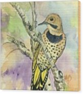 Yellow Shafted Northern Flicker Wood Print