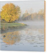 Yellow Tree Reflection On The Lake Wood Print