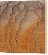 Yellowstone 2530 Wood Print