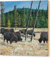 Yellowstone Grazers Wood Print