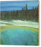 Yellowstone Morning Glory Pool Wood Print