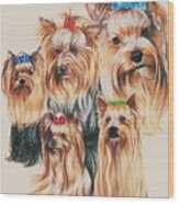 Yorkshire Terrier Collage Wood Print