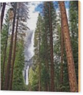 Yosemite Falls A Wood Print