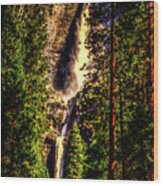 Yosemite Falls Framed By Ponderosa Pines Wood Print