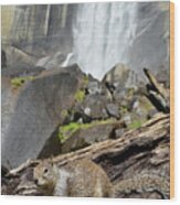 Yosemite Falls Squirrel Wood Print
