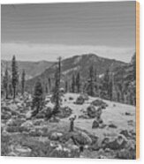 Yosemite Landscape Wood Print