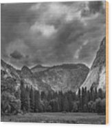 Yosemite Meadows Wood Print