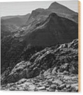 Yosemite - Mount Dana Wood Print