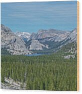 Yosemite National Park Wood Print
