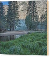 Yosemite Valley Grasses 7r2_dsc2420_10082017-hdr Wood Print
