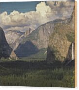 Yosemite Valley Wood Print