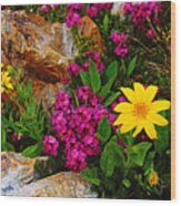 Yosemite Wildflowers Wood Print