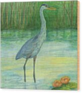 Young Great Blue Heron Wood Print