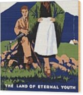 Young Irish Girl And Boy On A Meadow - Countryside - Vintage Travel Poster Wood Print
