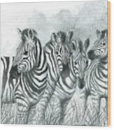 Zebra Quartet Wood Print
