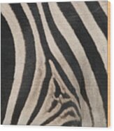 Zebra Stripes Wood Print