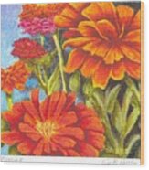 Zinnias  Sold Prints Available Wood Print