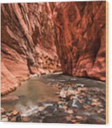 Zion Narrows Wood Print