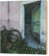 Zoagli Old Abandoned Door With Flowers Wood Print