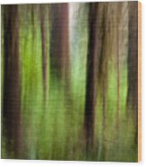 Abstract Image Of Hoh Rainforest - #1 Wood Print