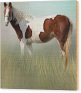 American Paint Horse  #1 Wood Print