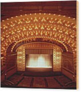 Auditorium Theater In Chicago #1 Wood Print