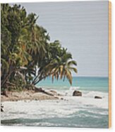 Beach In Haiti #1 Wood Print