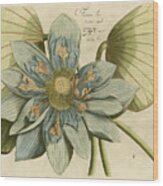 Blue Lotus Flower I #1 Wood Print