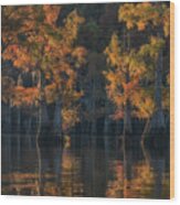 Caddo Lake 5 #1 Wood Print