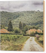 Countryside Near La Castelet #1 Wood Print