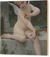 Cupid with a Butterfly by William-Adolphe Bouguereau Art Print Free S/H in the USA Vintage print