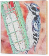 Downy Woodpecker, Male, Poster Image #5 Wood Print