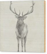 Elk Study #1 Wood Print