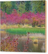 Fall Colors In Central Cascade #1 Wood Print