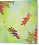 Falling Autumn Leaves #1 Wood Print