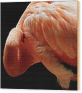 Flamingo #1 Wood Print