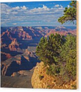 Grand Canyon National Park   P #1 Wood Print