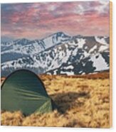Green Tent On Amazing Meadow In Spring #1 Wood Print