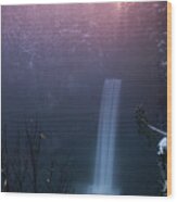 High Angle View Of Brandywine Falls Against Trees During Sunset #1 Wood Print