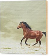 Horse Galloping #1 Wood Print