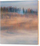 In The Morning Mists #1 Wood Print