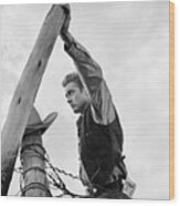 James Dean With Hand On Fence #1 Wood Print