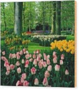 Keukenhof Gardens, Lisse, Netherlands #1 Wood Print