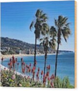 Laguna Beach #1 Wood Print