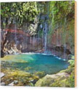 Levada 25 Fountains, Rabacal, Madeira #1 Wood Print