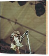 Louis Armstrong On Stage At Newport #1 Wood Print