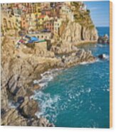 Manarola, Cinque Terre, Liguria, Italy #1 Wood Print