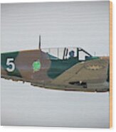 P-40 Warhawk #1 Wood Print