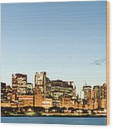 Panoramic View Of The Chicago Skyline #1 Wood Print
