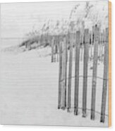 Pensacola Florida Beach Fence Black And White Photo #1 Wood Print